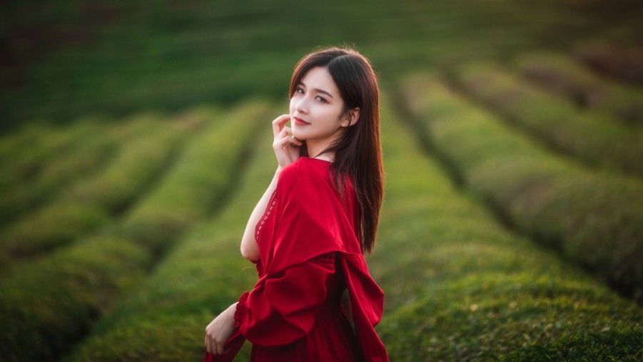 范智谋《来去火锅》：潮汕牛肉火锅指定BGM